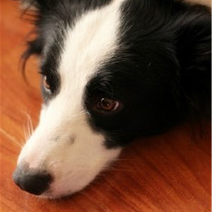 美女扒开下面被男人桶到爽国产
