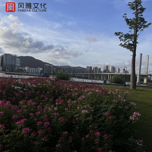 美女扒开下面被男人桶到爽国产
